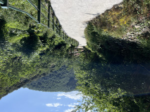 FOTO CAMINO DE SOBERADO